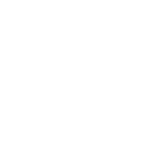 Mini Excavator